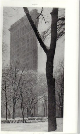 Alfred Stieglitz -Flat iron Building - Catawiki