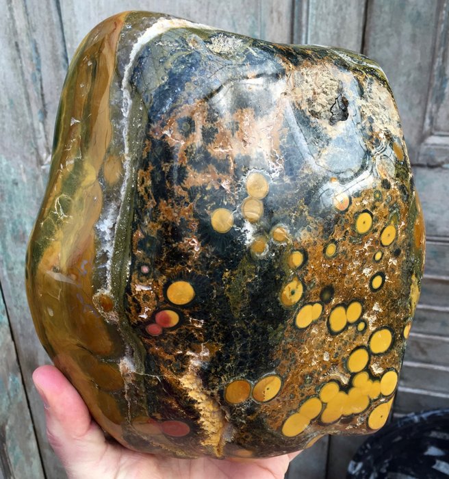 Large polished piece of yellow green ocean jasper with