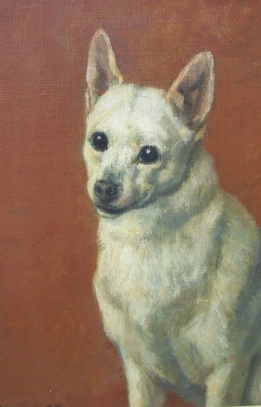 Herbert van der Poll (1877-1963) - Portrait of a Dog