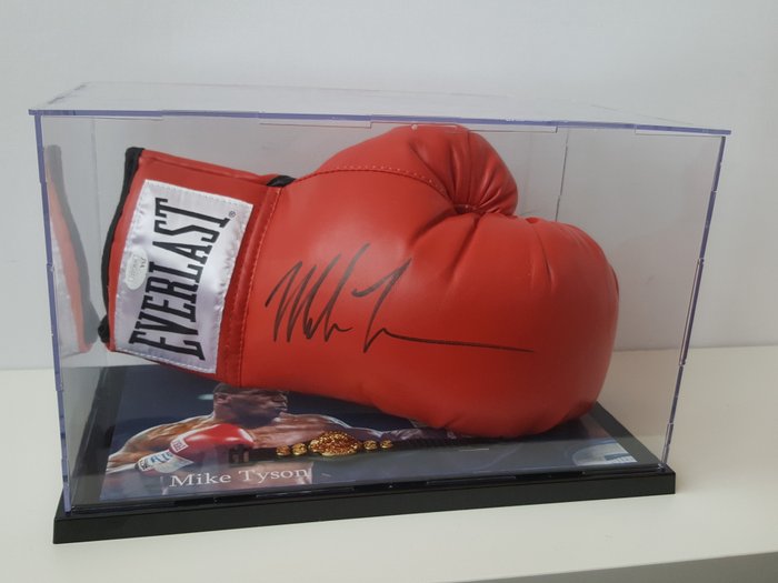 Mike Tyson World Champion Heavyweight Boxing, Everlast glove ...