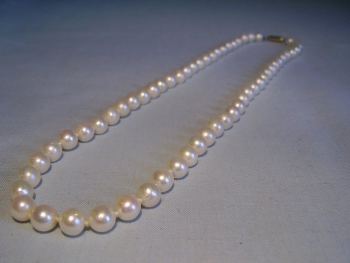 Collar de perlas blancas japoneses auténticas de agua salada de Akoya