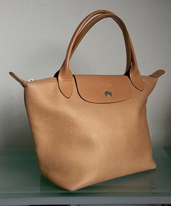 Longchamp Le pliage Leather Bag - Catawiki