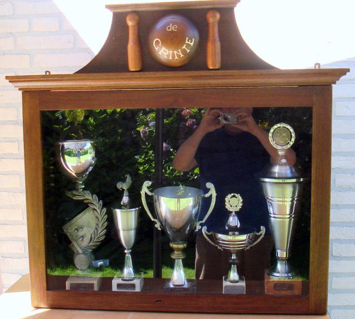 Wooden Cabinet For Sports Trophies Catawiki