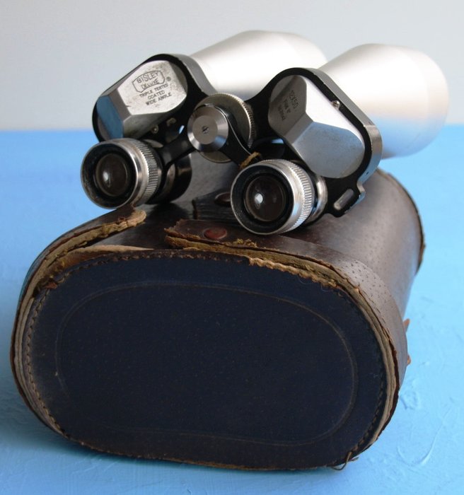 Bisley Deluxe 12 x 50 binoculars, in its leather case.