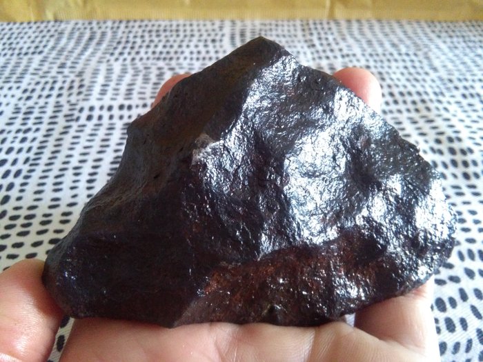 Gibeon - King of metallic meteorites - 880 g.