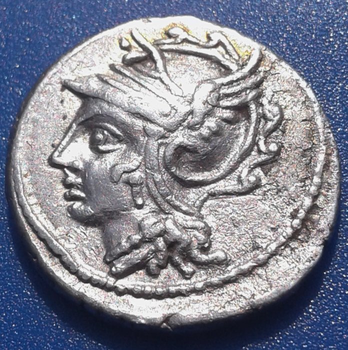 Buy Roman Republic AR Denarius C. Caldus (104 BC) XF (Cr 