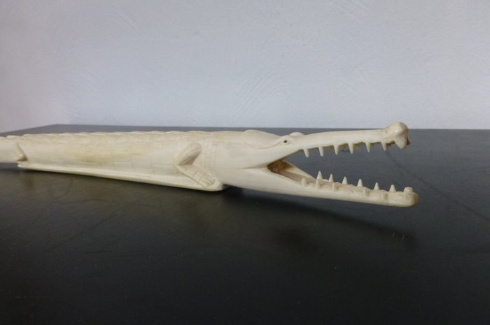 Crocodile carved in ivory - Kasai, D.R Congo