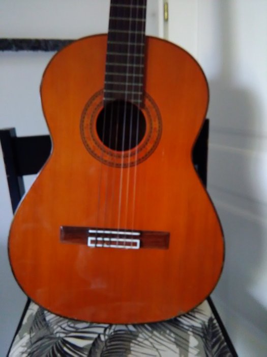 Luigi Mozzani guitar classic model series/number 578
