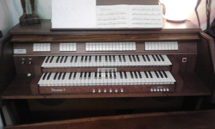 Organo classica viscount domus 5