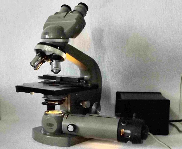 Binocular biological metal Microscope Olympus-Tokyo E-series, late 60s, with luxury lighting LSE to Köhler.
