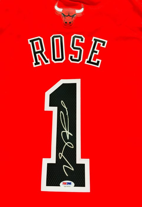 derrick rose signed bulls jersey