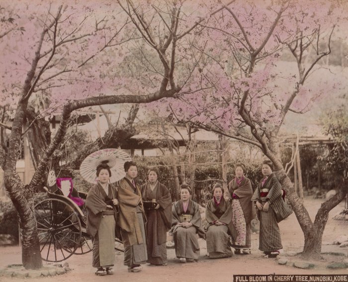 Japan (XIX) - Group of Japanese under the cherry blossoms of Kobe-