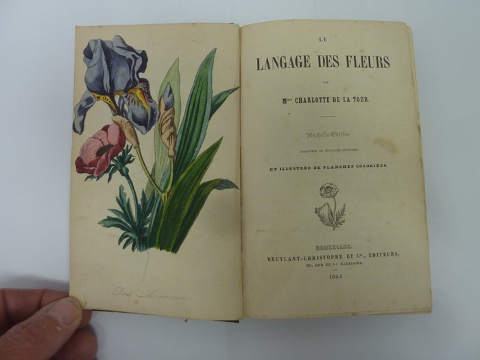 Charlotte De La Tour - Le langage des fleurs - 1854