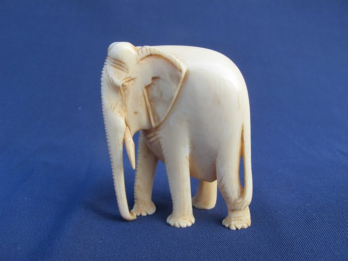 Ivory image of an Indian Elephant - India - 1900
