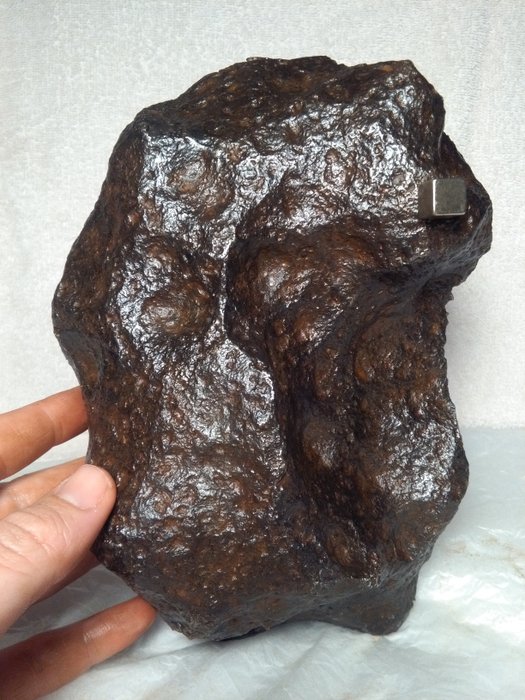 Meteorite Campo del Cielo. Museum - 15.2 Kg