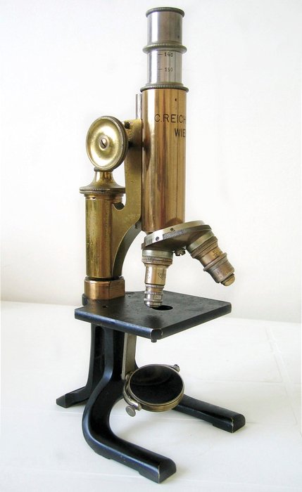 C. Reichert Wien Vienna Microscope N°18527 (19th century)