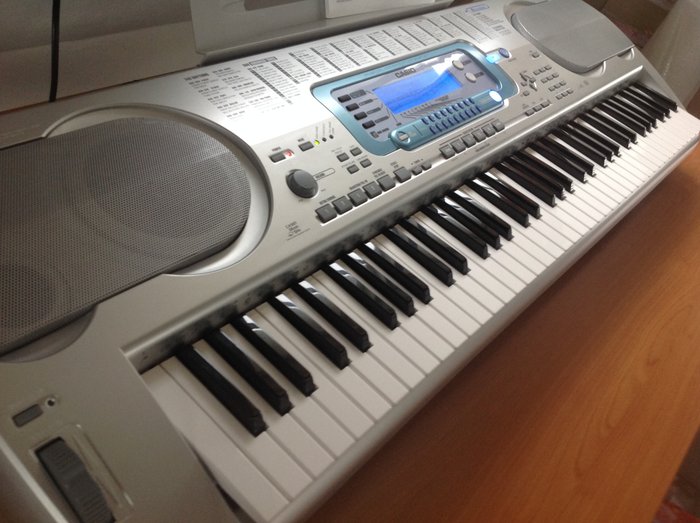 Casio WK-3000 Professional Digital Piano with velocity-sensitive keys, 790 sounds, rhythms, 146 rhythms, SmartMedia slot, Synthesizer and MIDI