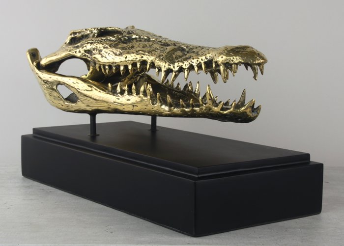 Sculpture of a Saltwater Crocodile Skull - Bronze
