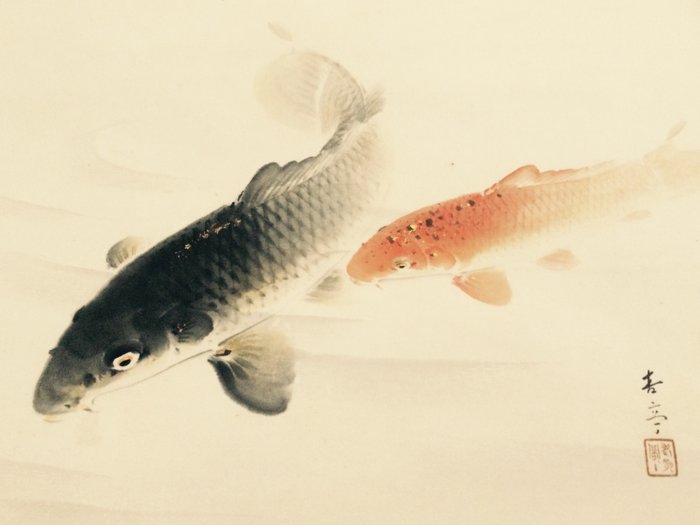 松田杏亭（1887-1965 年）所画的鲤鱼 - 签名加盖章，包括签名的原装储藏盒 - 日本 - 20 世纪早期/中期