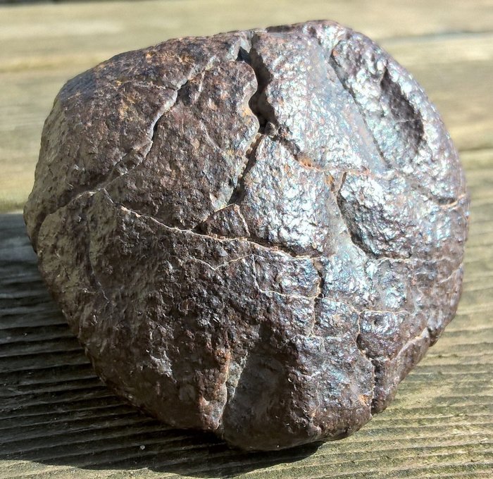 Oriented Meteorite  - Ordinary Chondrite - 304 g