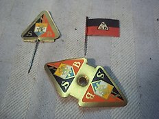 3 rare pins of the NSB given at party meetings, 2 variants.