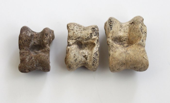 Ancient Roman Knucklebones - 27 mm / 32 mm (3)