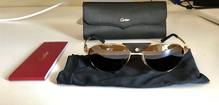 Cartier Santos - Dumont - Sunglasses - Man - Catawiki