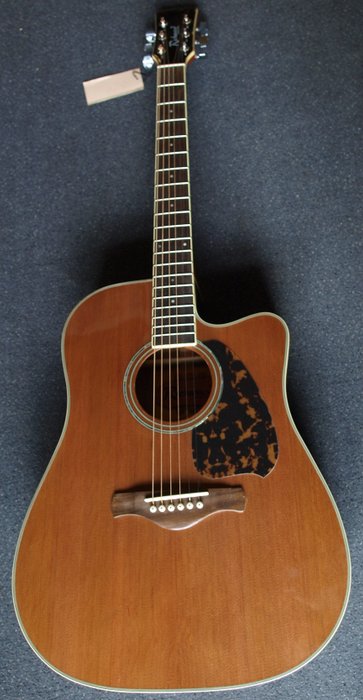 Richwood Limited Edition handmade electro-acoustic Dreadnought-model, Natural