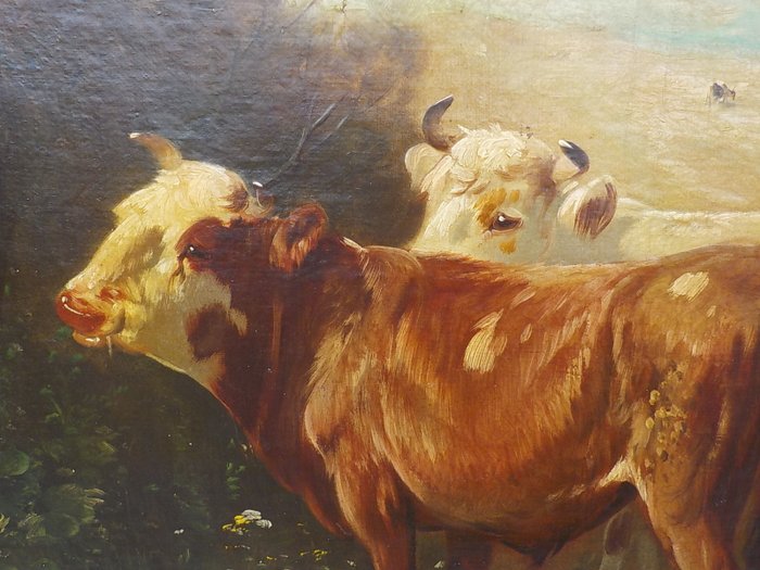 P H  Schouten (1860-1922) - Koeien