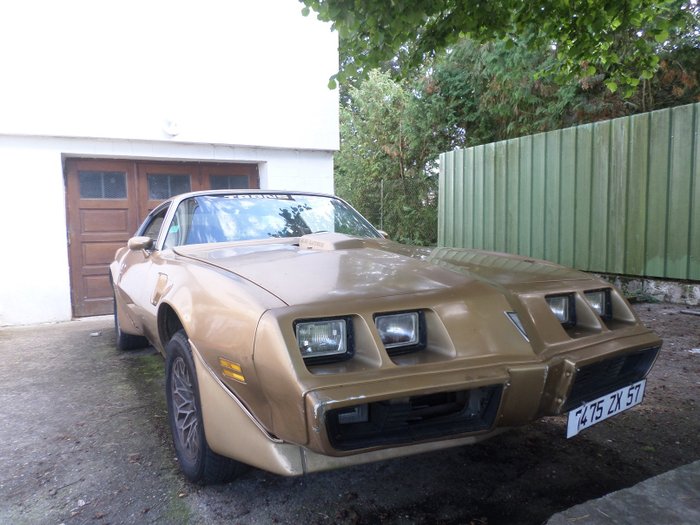 Pontiac Firebird Trans Am 1979 Sold Without Reserve Price