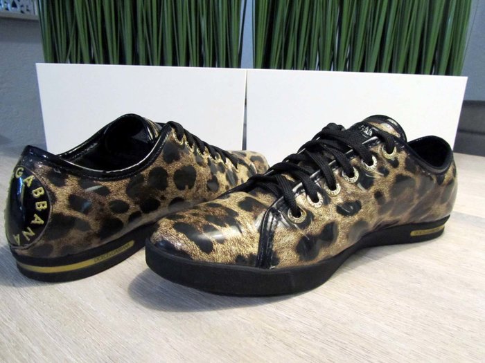 dolce and gabbana leopard trainers