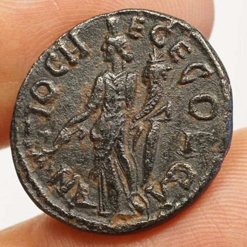 Roman Empire – Septimius Severus (193-211) AE, Antioch, - Catawiki