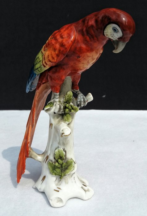 Capodimonte Naples - parrot - on porcelain hand painted trunk