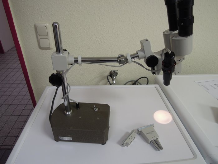 Euromex Stereo Microscope BM 84-2962 & Lens Special 3.5
