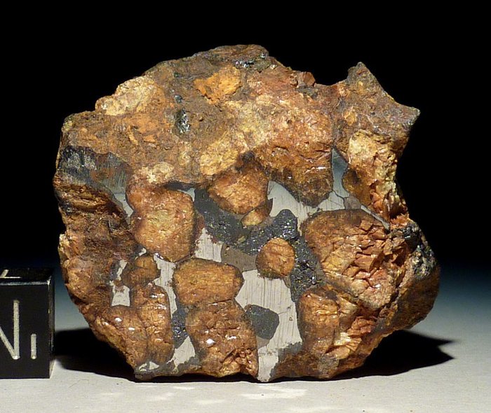  Meteorite New Pallasite from Kenya Sericho  aka Habaswein - End-Cut - 38 x 33 x 19 mm - 47,68g  