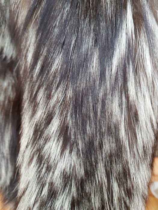 Annabella Pavia original, vintage silver fox fur coat - Catawiki