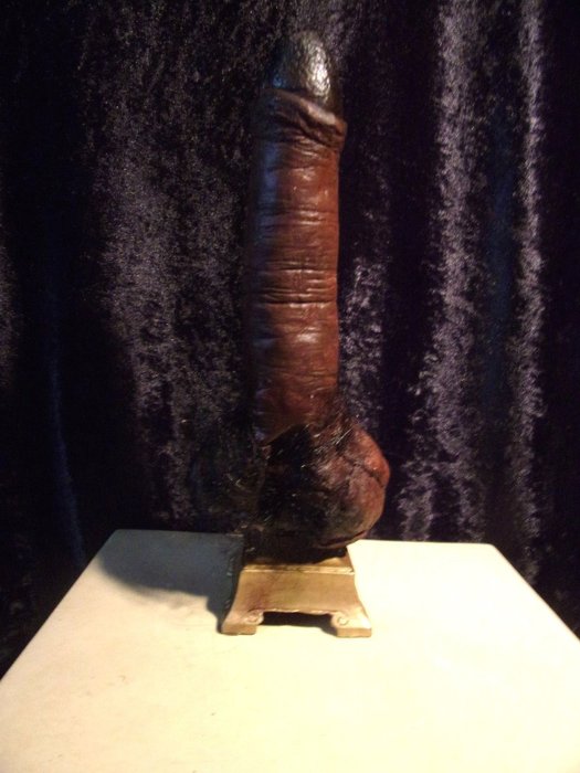 Replica Mummified Penis reputedly ex-Casanova, with stand - 16,5cm