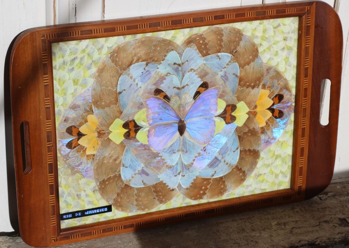 Serving tray with genuine butterflies (wings)