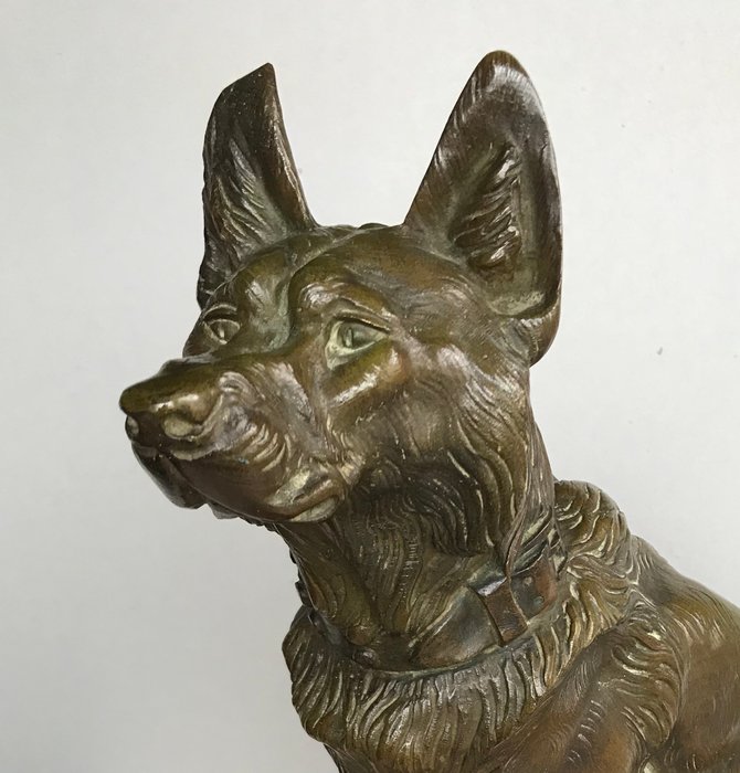 Thomas Cartier (1879-1943) - staty som representerar en hund varg. - Brons - tidigt 20th century