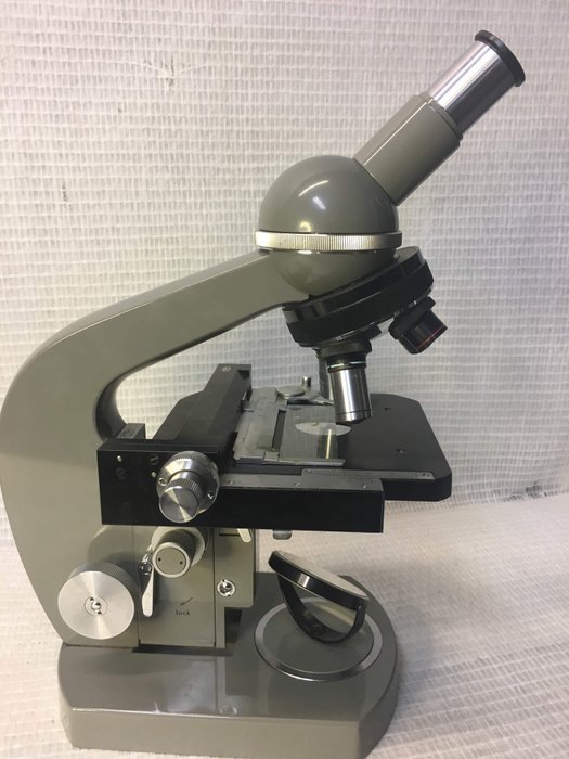 Olympus Tokyo - Mikroskop - Eisen (Gusseisen/ Schmiedeeisen), Glas, Holz