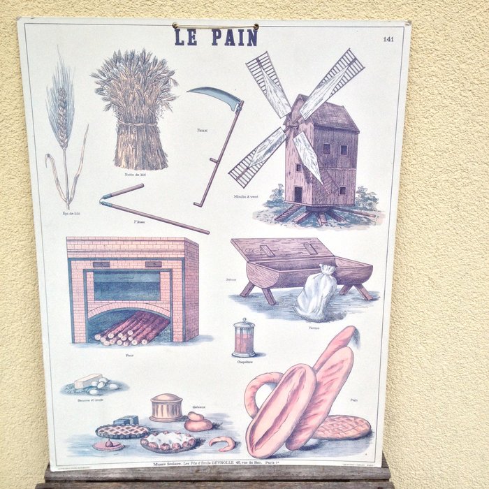 Musée Scolaire les Fils D'Emile Deyrolle - School poster - Le Pain N° 141 - Cardboard