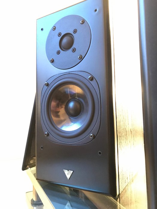 ultra high-end speakers