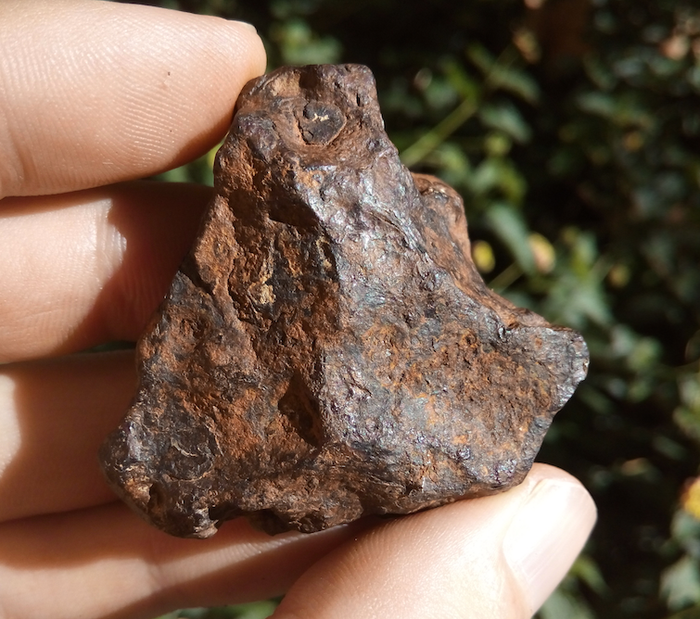 Grote Agoudal meteoriet, IJzer uit Marokko - 108.2 g