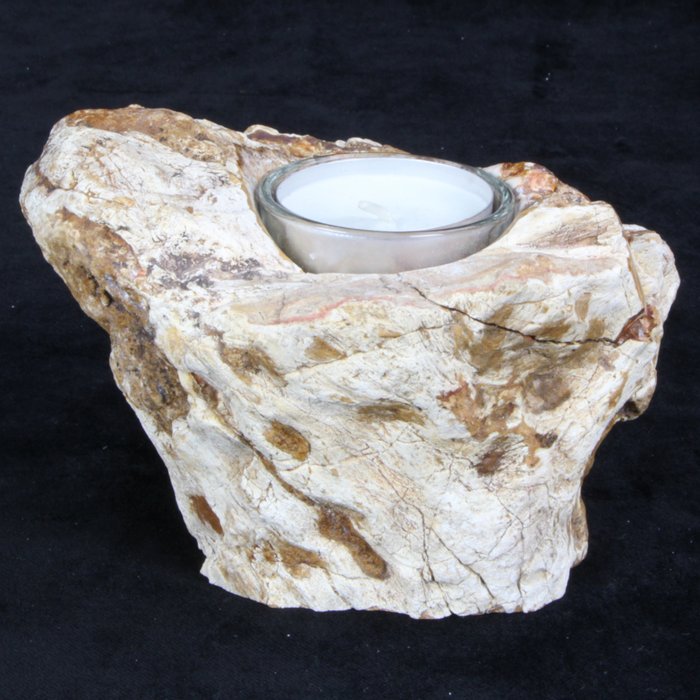 化石木燭台 - 化石碎片 - 95 mm - 130 mm