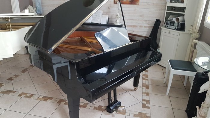 Hupfeld - PIANO A QUEUE  ( Crapaud 140 cm ) - Klaver - Tyskland