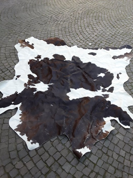 新的整流罩地毯米2x2 - 皮革