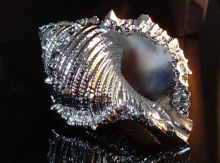 Mastro Argentiere Milano - Italia - 海的珠寶，被證明的自然殼 (4) - 藝術裝飾 - .925 銀