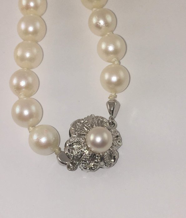 Freshwater pearl necklace 6.3 mm - 585 white gold clasp - 60 cm total length