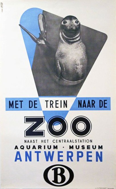 Studio Peso - ZOO Antwerpen  jonge zee-olifant - 1950s