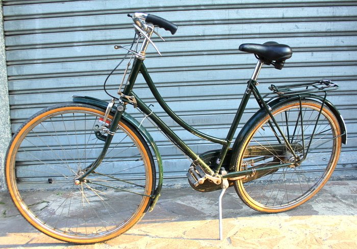 raleigh roadster bicycle